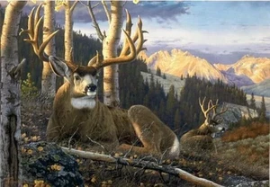 Highlights of Autumn di Tom Mansanarez Mulo Cervo Montagne Stampa artistica 24x19 in - Foto 1 di 1