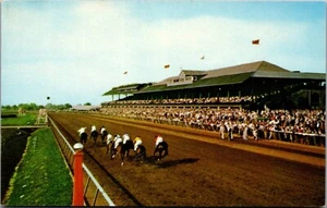 Vintage Postcard Lexington KY Stretch Drive Horse Race At Keeneland Race Course - Picture 1 of 2