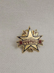Spilla vintage Pinellas County Schools Together We Shine bavero push back. - Foto 1 di 2