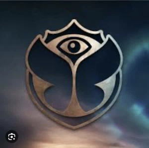 Suche 2 x Tomorrowland Sunday Day Ticket - Bild 1 von 1