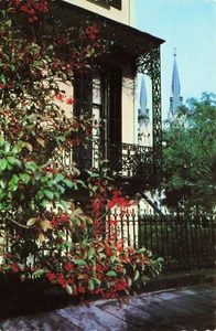 Postal Ornamentado Encaje Hierro Trabajo de Savannah Georgia Homes, Savannah Georgia, De Colección - Imagen 1 de 2