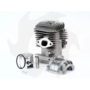 ALPINA ZYLINDER UND KOLBEN -CASTOR CJ 300 cod BG 009102 - Bild 1 von 1