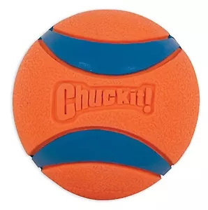 Chuckit Ultra Ball - Pallina per Cani - Spedizione Gratuita in 2/3 gg lavorativi - Foto 1 di 6