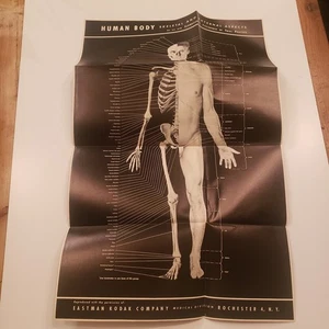 Human Body Poster Cyclopedia Of Trial Practice Anatomy Skeleton Bone Names Vtg - Imagen 1 de 8
