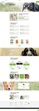 Website for Your Pet Shop Business - Free Web Server Host + Domain Name - Fast