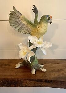 Rare BOEHM Orange Fronted Parakeet #40517 Limited Edition 19/500-Signed