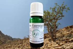 Weihrauch Frereana ätherisches Öl / Bio (Herkunft: Somalia) - Bild 1 von 5