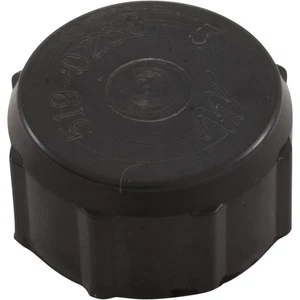 Drain Cap, Waterway Filter On/Off Valve, 1/2"fght, Black : 519-0231 - Imagen 1 de 5