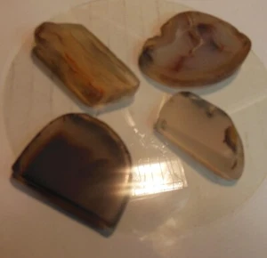Montana Moss Agate, 4 unfinished pcs, 223.50tcw, Dendritic, Scenic, Translucent - Picture 1 of 16