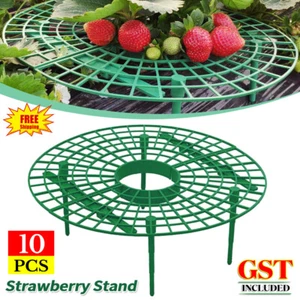 UP 100PCS Plastic Strawberry Support Stand Removable Vegetable Fruit Plant Rack - Picture 1 of 12