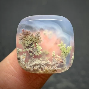 Pequeño cabujón escénico de ágata musgo 16x16x3,5 mm alta calidad 10 quilates - Imagen 1 de 6