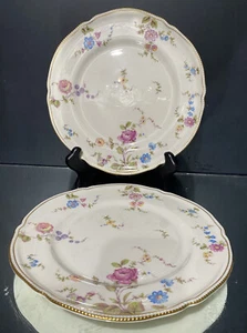 Vintage Castleton China SUNNYVALE...Two Nice Dinner Plates..10.625"..Made in USA - Picture 1 of 6