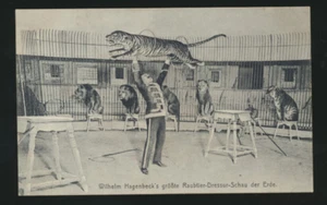 Postcard Wilhelm Hagenbeck's largest predator dressage show on earth (403) - Picture 1 of 2
