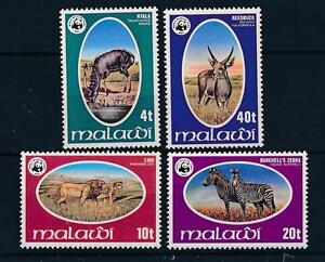 [54084] Malawi 1978 Dzikie zwierzęta WWF Lion Zebra MNH