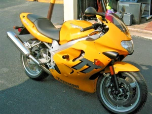 TRIUMPH TT 600 VERKLEIDUNG STURZSCHUTZ PUCKS KNÖPFE MOTORSCHIEBER OGGYS PADS - Bild 1 von 6