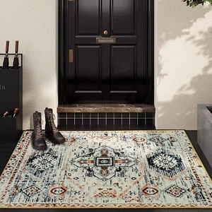 Soft Washable Area Rug 2x3 Entry Rug Small Door Mat Vintage Entryway Rug, Ultra- - Picture 1 of 7