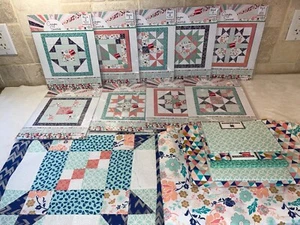 CANYON SUNRISE Backing Binding 10 Month BOM Quilt Kit Jo Ann PATERN FABRIC + FQ - Picture 1 of 15