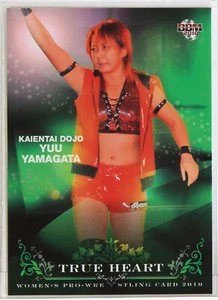 Auswahl - KAITAI DOJO - 2010 BBM Damen Pro-Wrestling Sammelkarten - Bild 1 von 7