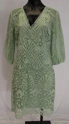 Vestido para mujer Sundance Charleston abierto de encaje forrado con corpiño CD4 verde talla 10 nuevo con etiquetas Foto 1 de 4