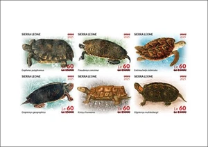 SIERRA LEONE 2025 DELUXE PROOF - OVPT ON 2022 - TURTLE TURTLES - Picture 1 of 1