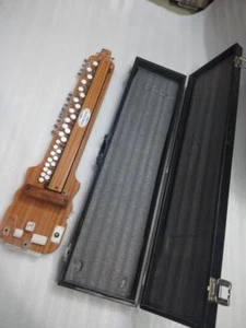 Banjo/Bulbul Tarang/Banjo indio eléctrico calidad profesional, hecho a mano, hard bo - Imagen 1 de 7