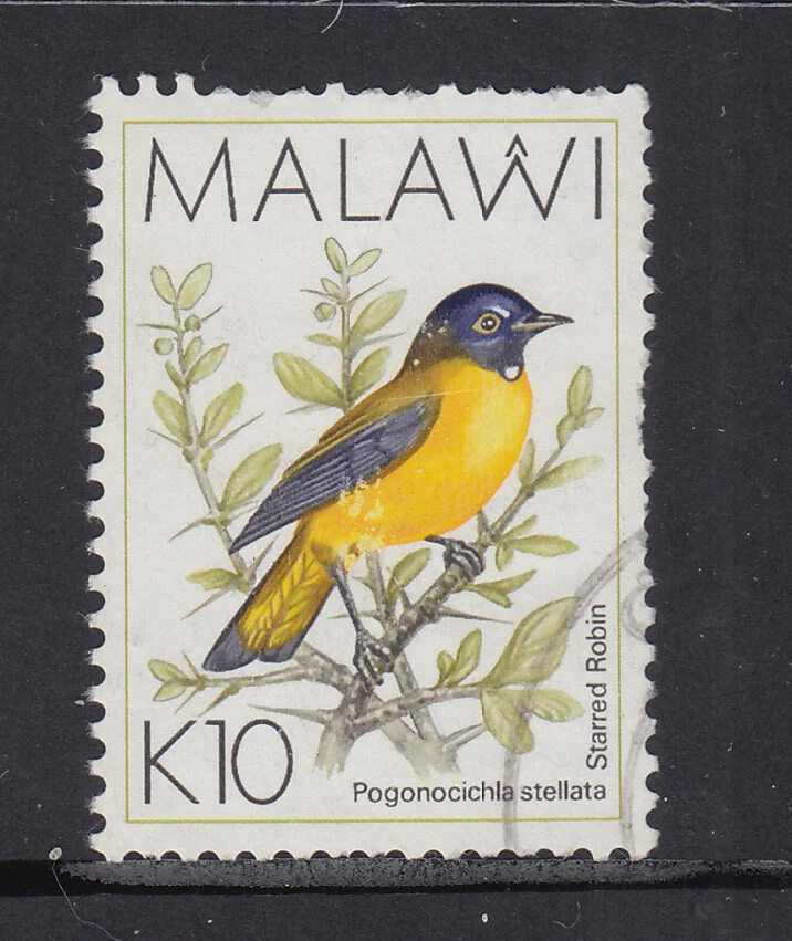 Malawi- 10k Starred Robin (Used) 1988 (CV $6) - Image 1 of 1