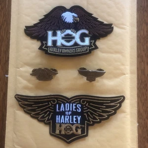 Parche y prendedor coleccionables Harley Davidson HOG LOH - Imagen 1 de 9