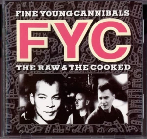 FINE YOUNG CANNIBALS The Raw & The Cooked 1989 CD POP ROCK "SHE DRIVES ME CRAZY" - Picture 1 of 2