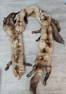 Vintage 3 Brown Fox Fur Stole Shawl Scarf Pelt - Excellent Condition - No Label - Picture 1 of 11