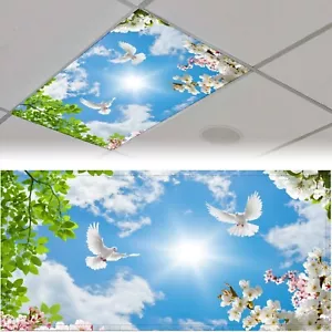 2 Pack Magnetic Fluorescent Light Covers - 4x2 Ft, for Office,Home,Classroom-B03 - Picture 1 of 7