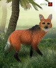 Maned Wolf Wildlife Toy Model Figure by CollectA 88595 New