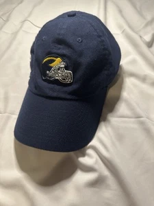 Nike Jordan Michigan Wolverines Dri Fit Helmet Logo Jumpman - Made In China - Picture 1 of 5