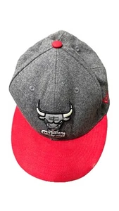 Chicago Bulls New Era NBA Cooperstown Classics Wool Blend Gray SnapBack Hat - Picture 1 of 8