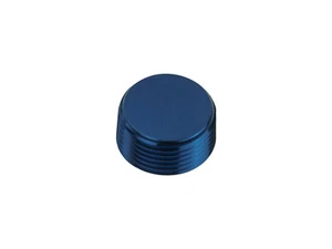 1/16 NPT Hex Allen Key Blanking Plug Bung Blocker Male Fuel Oil Adapter Blue - Picture 1 of 4