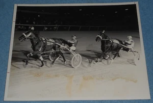 1982 Harness Racing Photo Horse "Turn The Tide" Herve Filion Liberty Bell Park - Picture 1 of 2