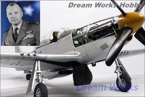 AwardWinner Built 1/24 Lt.Col Glenn Eagleston P-51D Feeble Eagle 353rd.354th - Picture 1 of 24