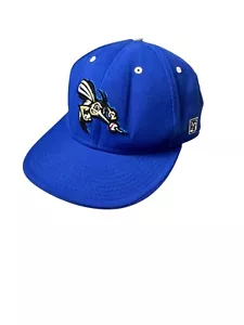 Sugar Land Skeeters MiLB Hat Fitted size 7 1/2 Blue The Game Pro Wool Blend - Picture 1 of 14
