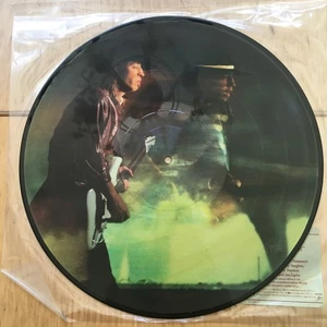 STEVIE RAY VAUGHAN Couldn't Stand The Weather Picture Disc Pic Lp 39609 Epic 84 - Picture 1 of 4