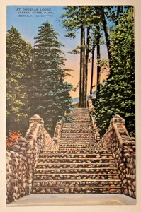 DOUGLAS LODGE, PARCO STATALE ITASCA, BEMIDJI, MINN., cartolina in lino - Foto 1 di 2