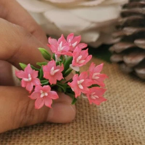 3 Mini Lirio de Lluvia Artificial Flor Rosa Miniatura Casa de Muñecas Hadas Jardín Decoración - Imagen 1 de 7