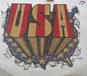 Vintage USA. Bügeltransfer. O11 - Bild 1 von 2