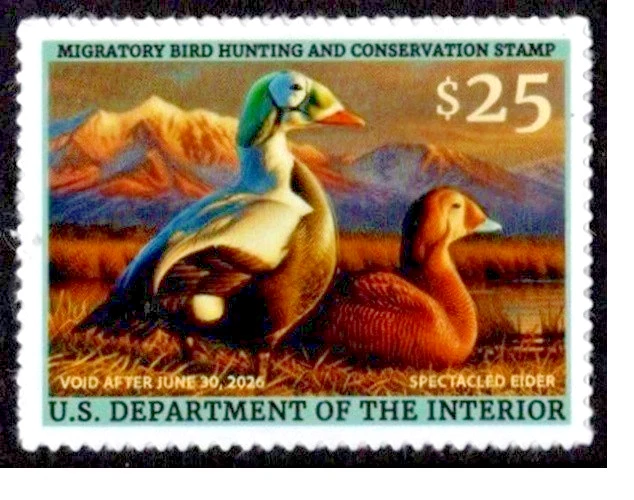 Mac's #RW92 2025 - US Federal Duck Stamp Mint OGNH FREE MOUNT - Image 1 of 1