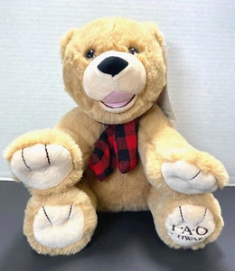 New FAO Schwarz Bears That Care Tan Brown Teddy Bear Plush 2019 Stuffed Animal - Picture 1 of 7