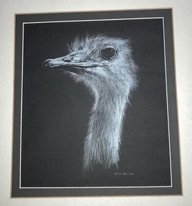 Vintage R.G. Smith skurrile Straußenzeichnung ~ original & signiert - Bild 1 von 5