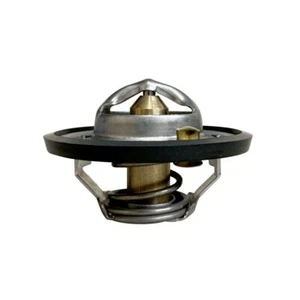 Termostato Ø 54 Mm Para Steyr CVT 120 130 150 170 6135 6145 6155 6170 6190 6195 - Imagen 1 de 2