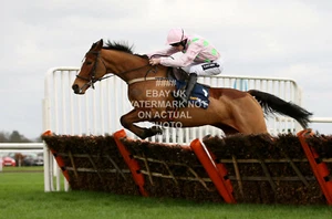 FAUGHEEN RUBY WALSH LEOPARDSTOWN 2015 PHOTO PRINT HORSE RACING CHRISTMAS HURDLE - Picture 1 of 1
