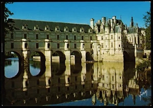 Chateau de Chenonceau Castle in France Postcard - Picture 1 of 2