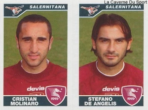 604 MOLINARO DE ANGELIS ITALIA SALERNITANA STICKER CALCIATORI 2005 PANINI - Imagen 1 de 1
