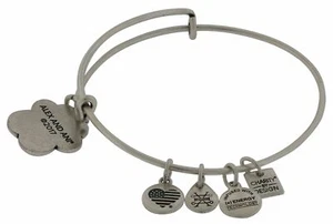 Alex And Ani - Compass Bracelet - Picture 1 of 1