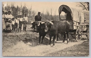 Ezra Meeker 1911 Expedition Postcard #18: Oxen, Wagon, Children in Missouri - Picture 1 of 2
